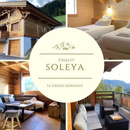 Chalet Soleya Le Grand-Bornand Dış mekan fotoğraf