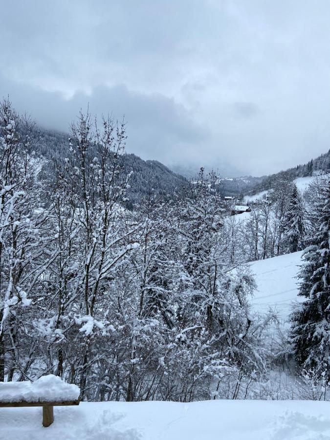 Chalet Soleya Le Grand-Bornand Dış mekan fotoğraf