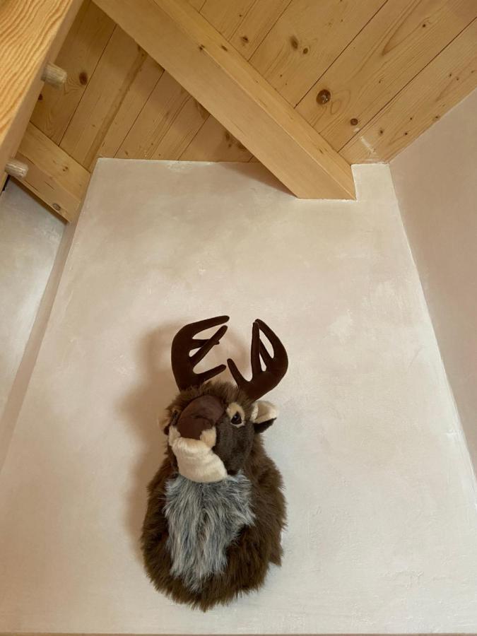 Chalet Soleya Le Grand-Bornand Dış mekan fotoğraf